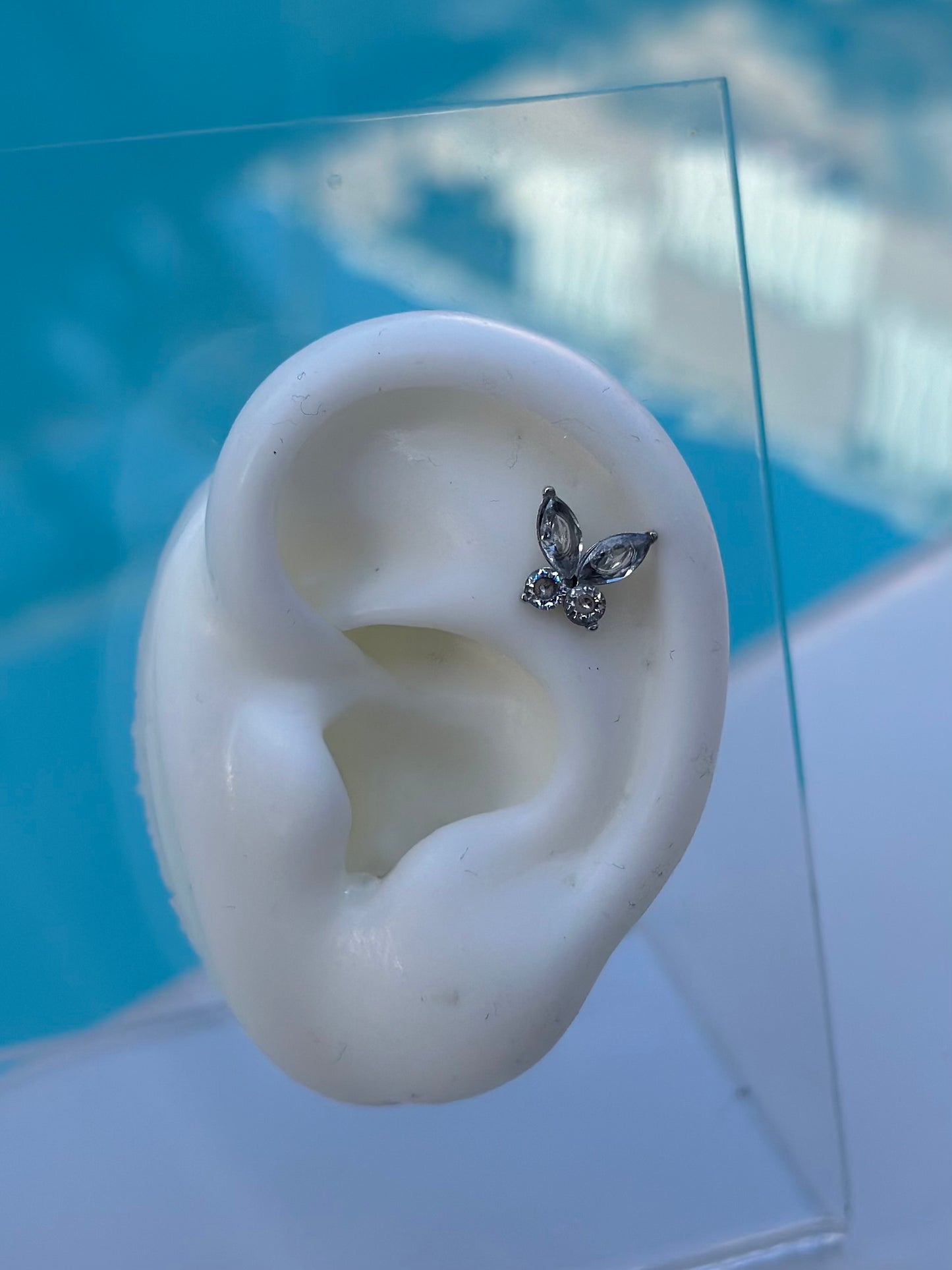 PERCING PAPILLON