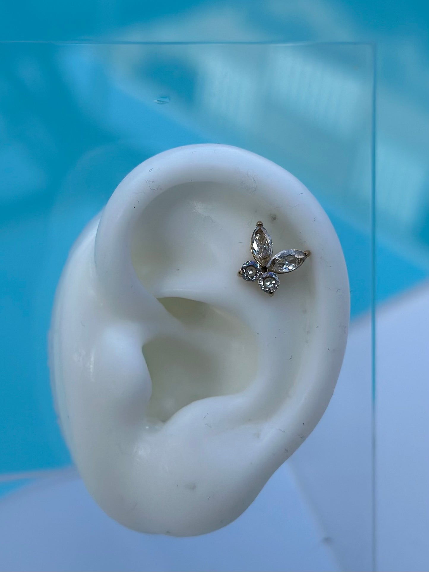 PERCING PAPILLON