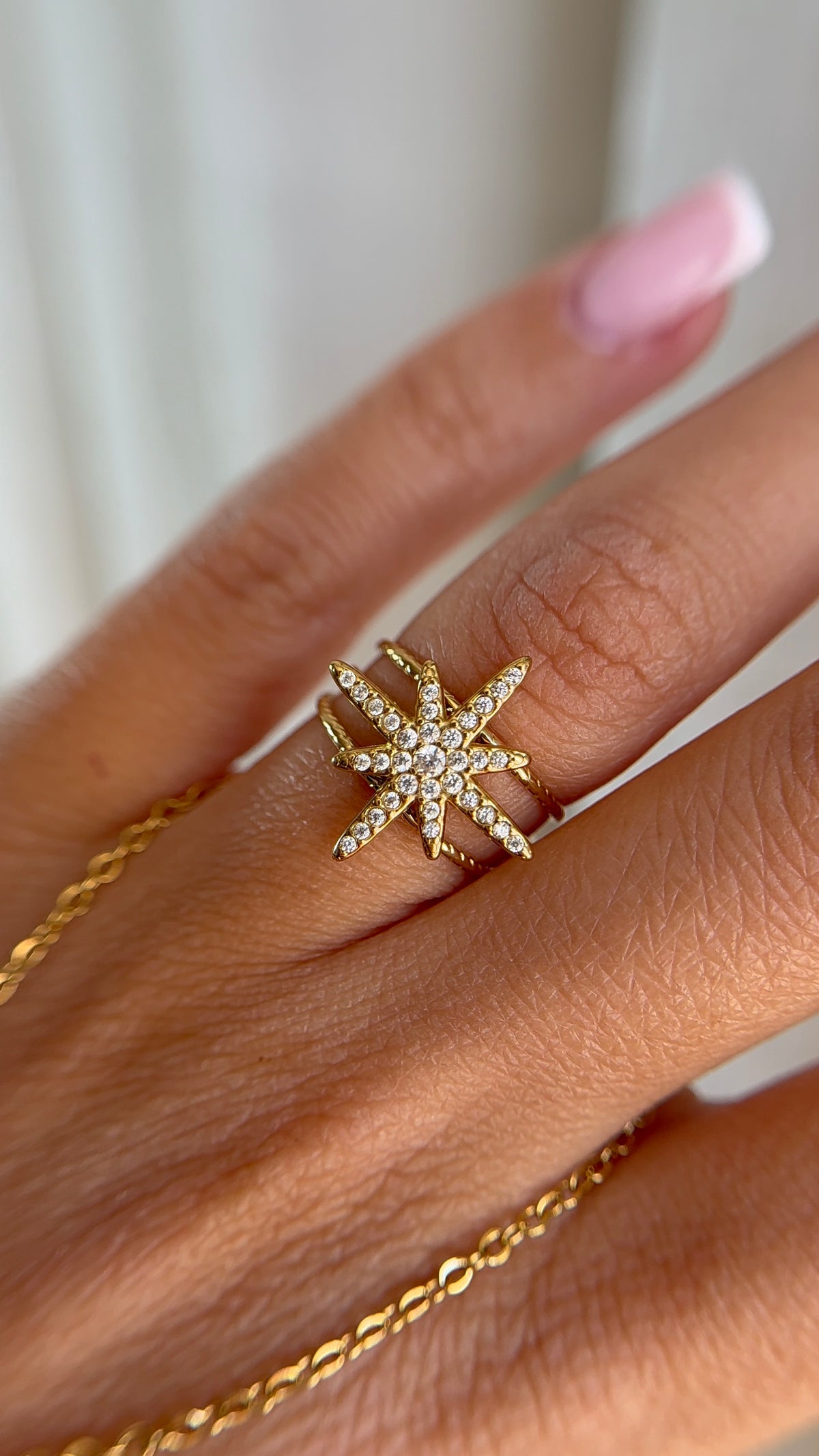 BAGUE MONIZ