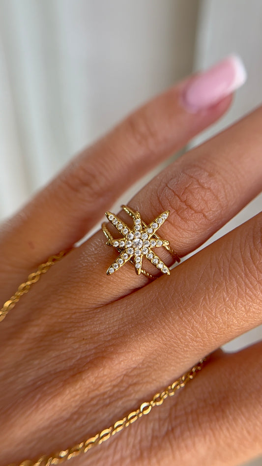 BAGUE MONIZ