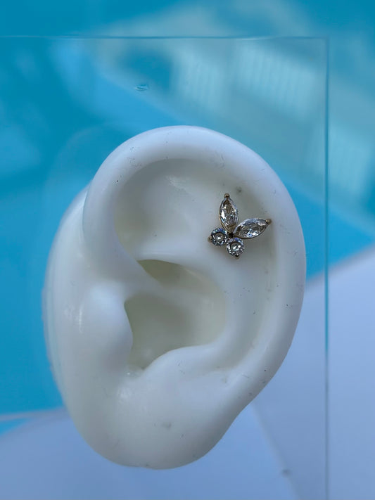 PERCING PAPILLON